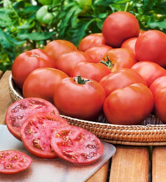 Bush Beefsteak