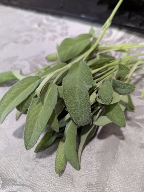 Sage
