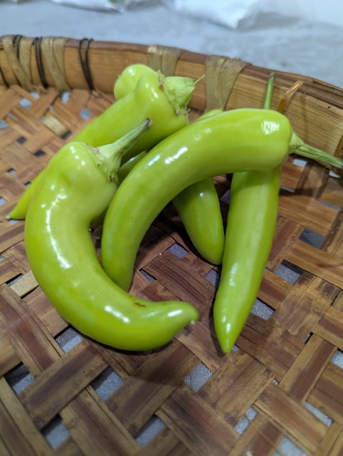 Banana Pepper