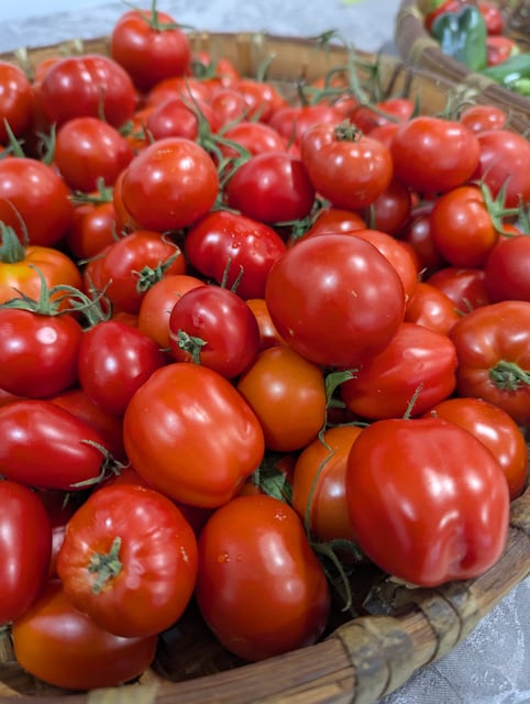 Tomatoes