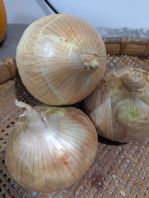 Onion