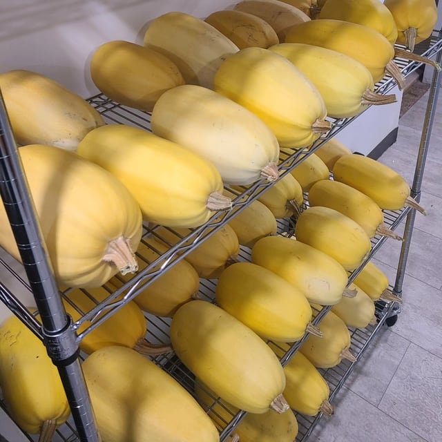 Spaghetti Squash