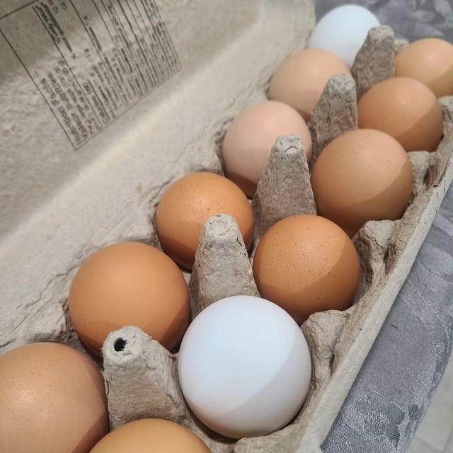 Eggs