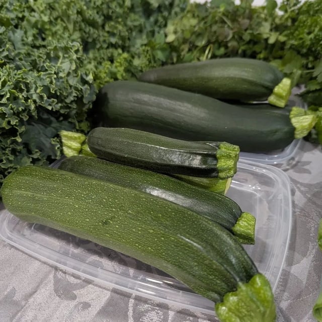 Zucchini