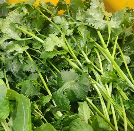 Celery