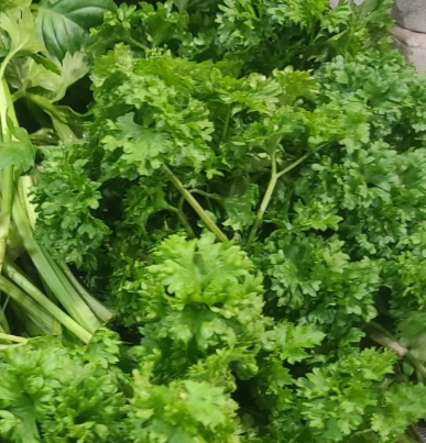 Parsley