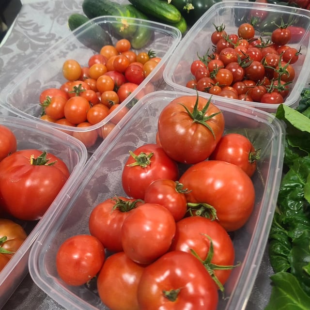 Tomatoes